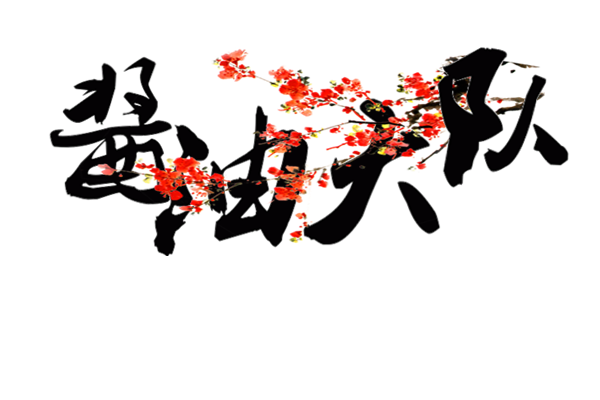 PA集团中国