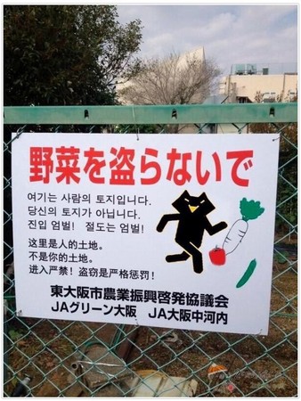 PA集团官网入口