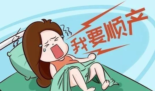 PA集团中国