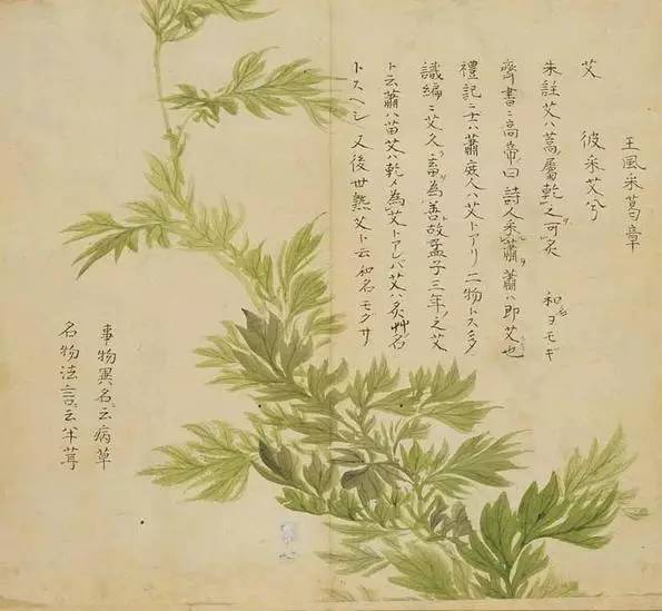 PA集团官网入口