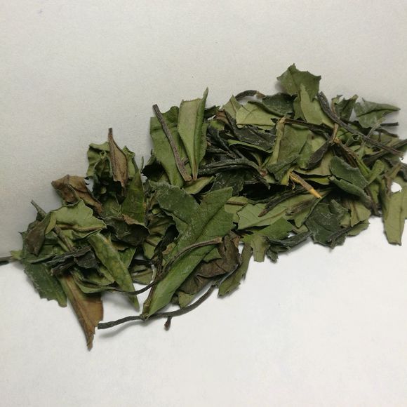 PA集团首页