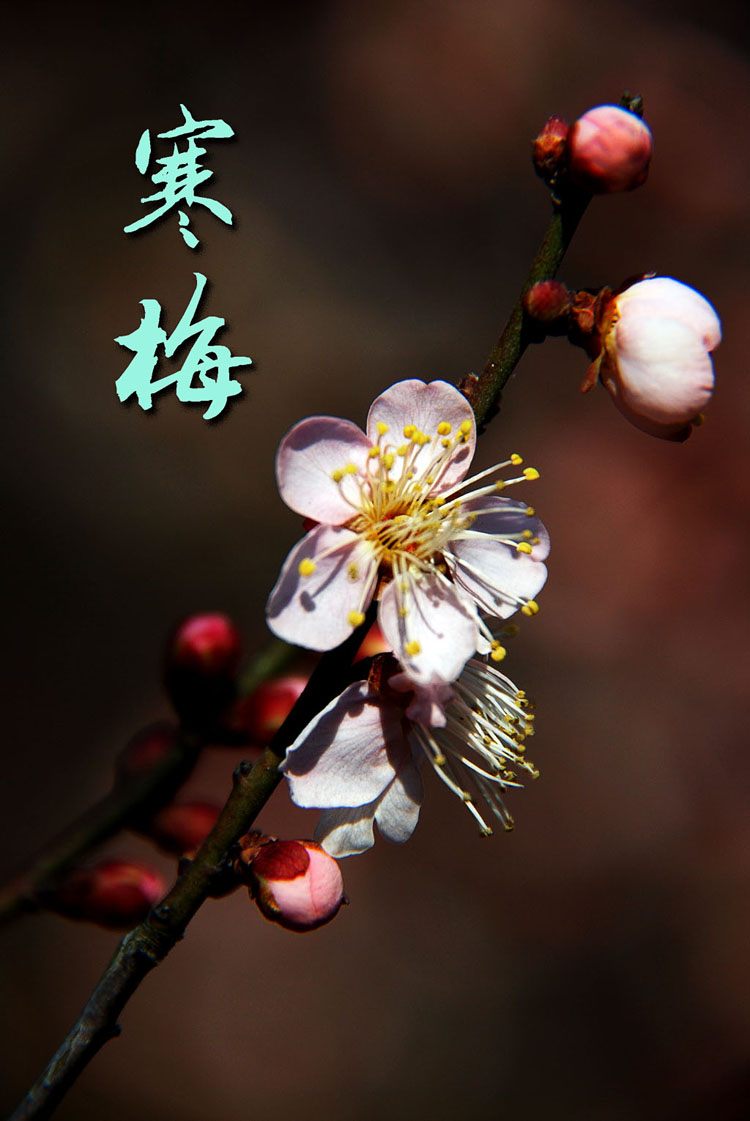 PA集团官网入口