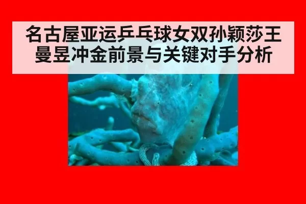 名古屋亚运乒乓球女双孙颖莎王曼昱冲金前景与关键对手分析